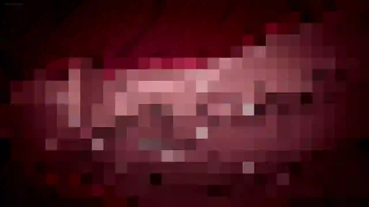 Chii-chan Kaihatsu Nikki 2